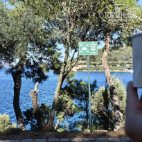 фото из отзыва ID 2734586