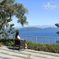 фото из отзыва ID 2734586