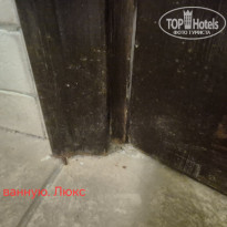 фото из отзыва ID 2734377