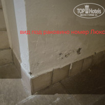 фото из отзыва ID 2734377