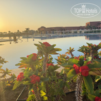 фото из отзыва ID 2734589