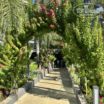 фото из отзыва ID 2734625