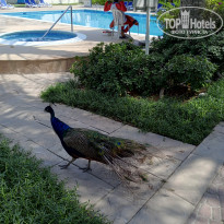 фото из отзыва ID 2734630