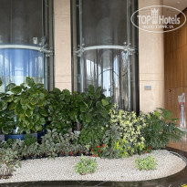 фото из отзыва ID 2734659