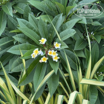 фото из отзыва ID 2734659