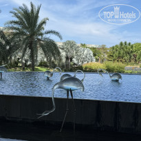 фото из отзыва ID 2734659