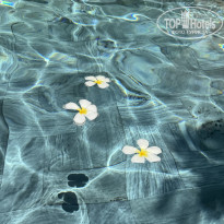 фото из отзыва ID 2734659