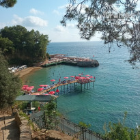 фото из отзыва ID 2734692