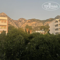 фото из отзыва ID 2734707