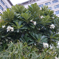 фото из отзыва ID 2734714