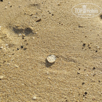 фото из отзыва ID 2734714