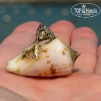 фото из отзыва ID 2734722