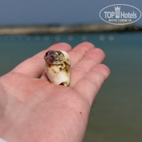 фото из отзыва ID 2734722