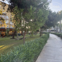 фото из отзыва ID 2734738