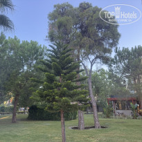 фото из отзыва ID 2734738