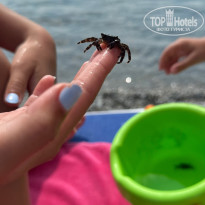 фото из отзыва ID 2734735