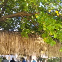 фото из отзыва ID 2734751