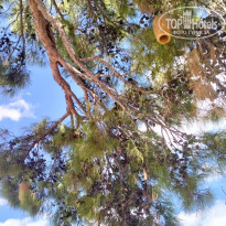 фото из отзыва ID 2734751