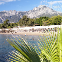 фото из отзыва ID 2734751