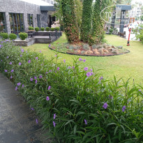 фото из отзыва ID 2734758