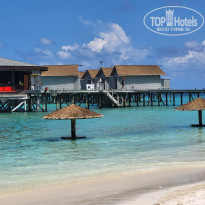 фото из отзыва ID 2734759