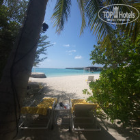 фото из отзыва ID 2734759