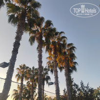 фото из отзыва ID 2734762