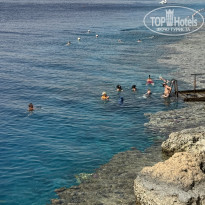 фото из отзыва ID 2734792