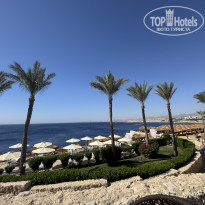 фото из отзыва ID 2734792