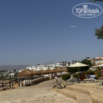 фото из отзыва ID 2734792