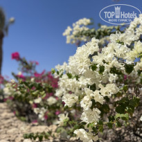 фото из отзыва ID 2734792