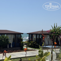 фото из отзыва ID 2734181