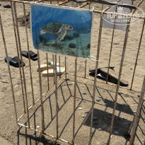 фото из отзыва ID 2734181