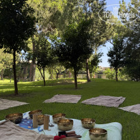 фото из отзыва ID 2734181