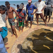 фото из отзыва ID 2734500