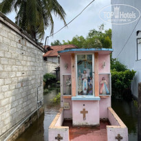 фото из отзыва ID 2734500