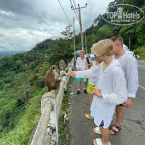 фото из отзыва ID 2734500