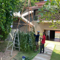 фото из отзыва ID 2734500