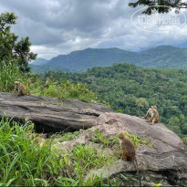 фото из отзыва ID 2734500