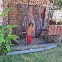 фото из отзыва ID 2734500