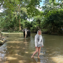 фото из отзыва ID 2734500