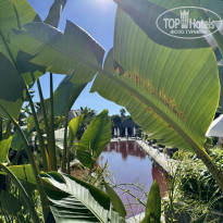 фото из отзыва ID 2734816