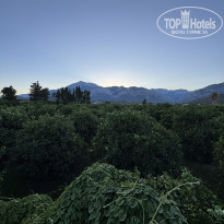 фото из отзыва ID 2734844