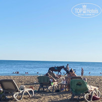 фото из отзыва ID 2734846