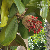 фото из отзыва ID 2734871