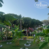 фото из отзыва ID 2734877