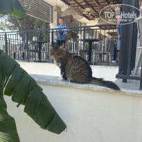 фото из отзыва ID 2734877