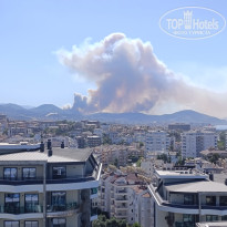 фото из отзыва ID 2731022