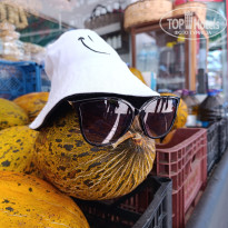 фото из отзыва ID 2731022