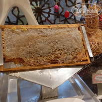 фото из отзыва ID 2731022